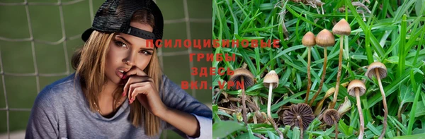 ГАЛЛЮЦИНОГЕННЫЕ ГРИБЫ Кинешма