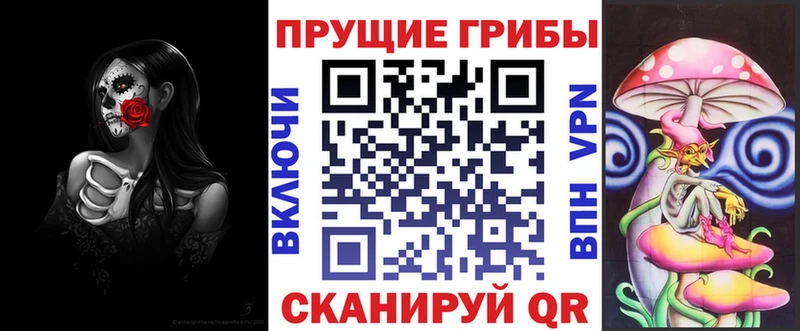 Псилоцибиновые грибы Psilocybine cubensis Заполярный