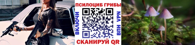 Галлюциногенные грибы MAGIC MUSHROOMS  Купить где  Заполярный 