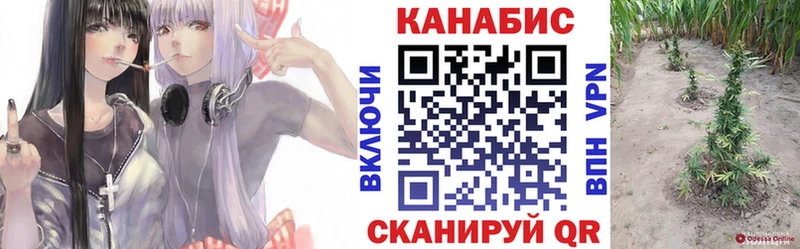 Конопля AK-47 Купить закладки Заполярный